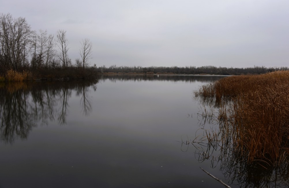 Стоянка древнего человека Хрящи на Северском Донце
