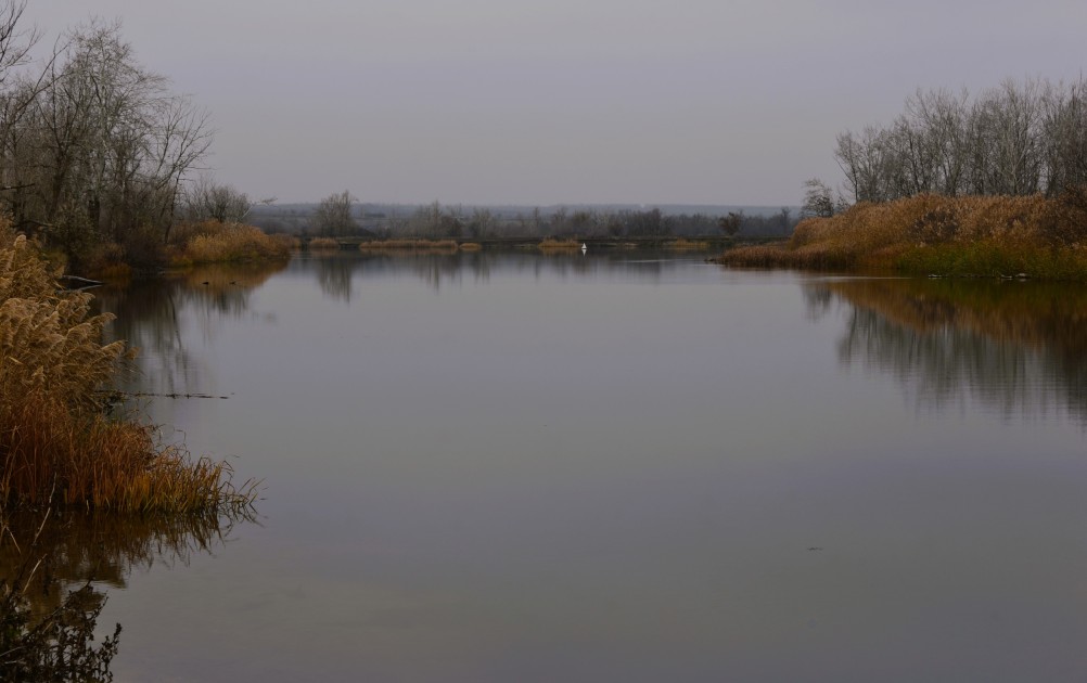 Стоянка древнего человека Хрящи на Северском Донце