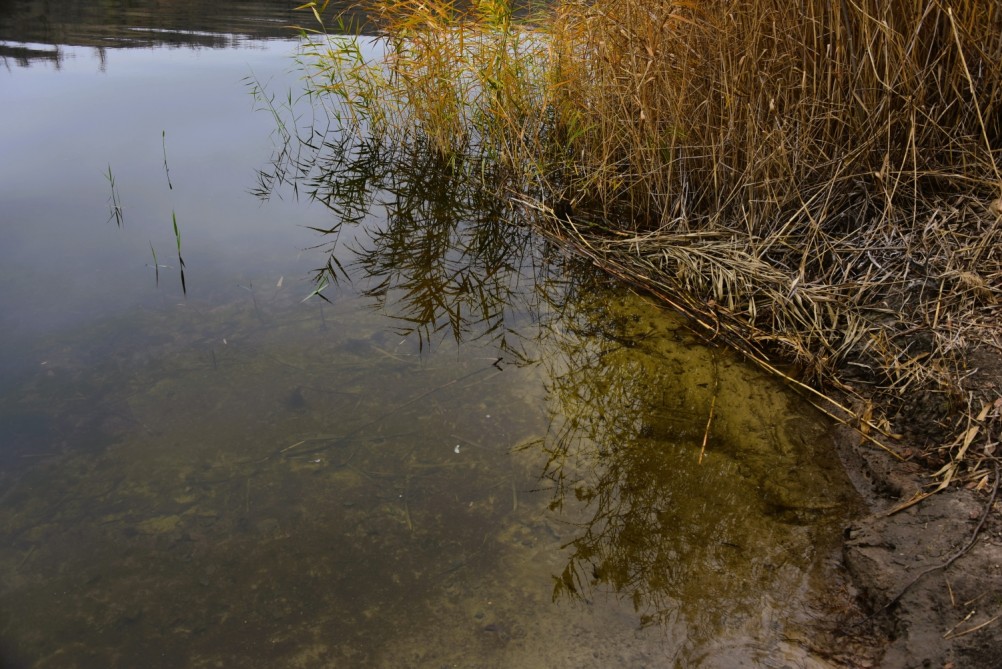 Стоянка древнего человека Хрящи на Северском Донце