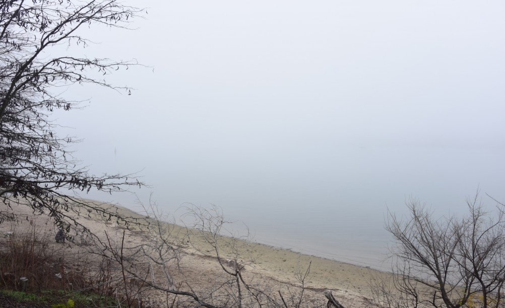 На Стрелке в туман