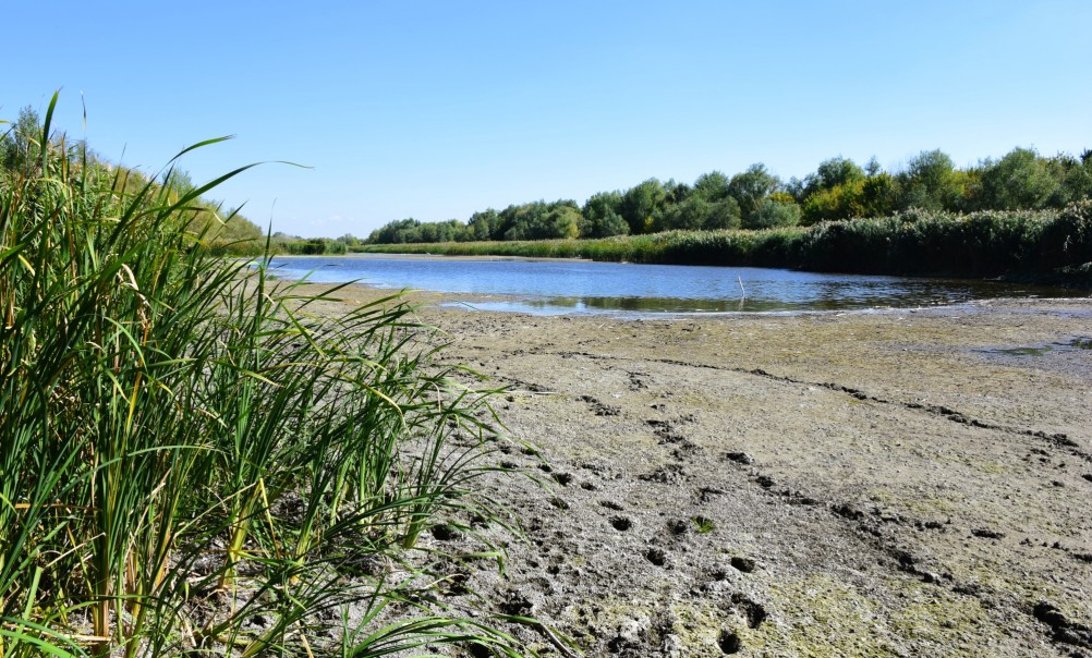 Донские старицы и ерики