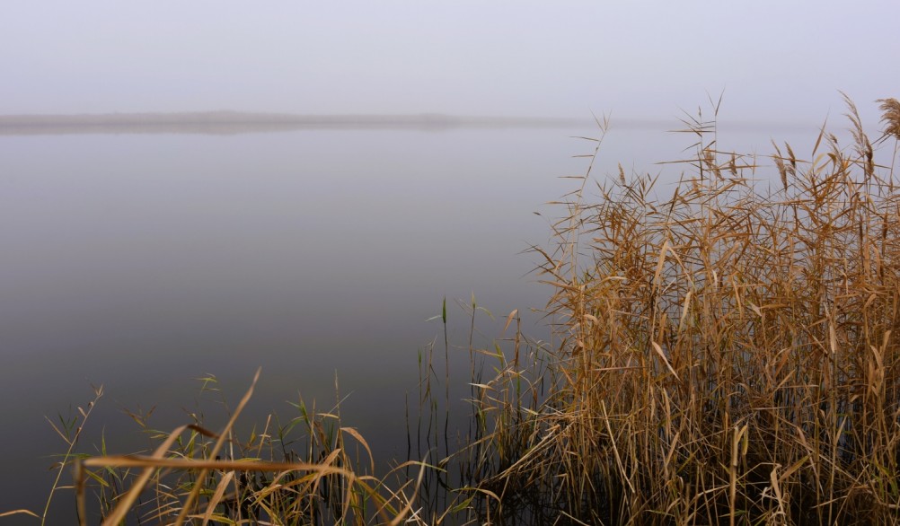 Донские старицы и ерики