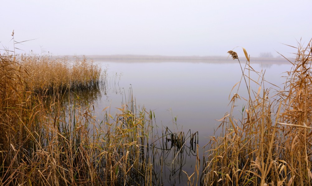 Донские старицы и ерики