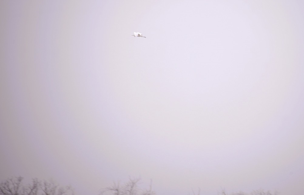 Донские старицы и ерики