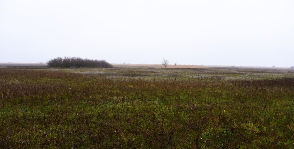 Донские старицы и ерики