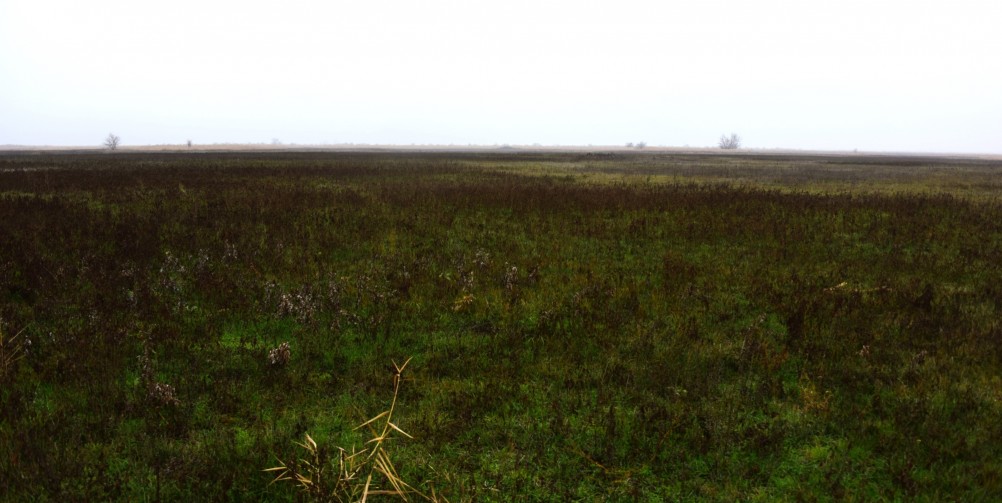 Донские старицы и ерики