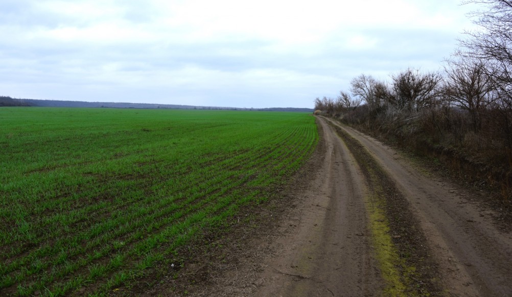 Грунтовки поздней осенью