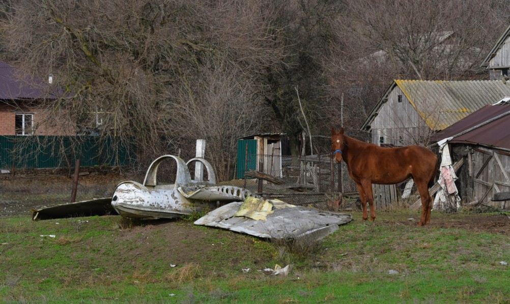 Лошадь и планер в хуторе Коныгин