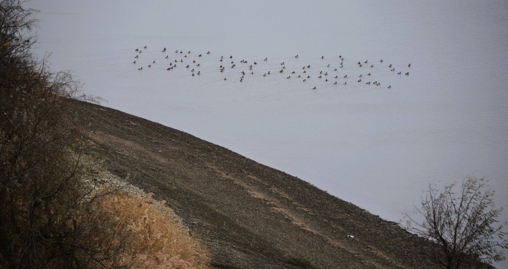 Урочище Огиб на Северском Донце