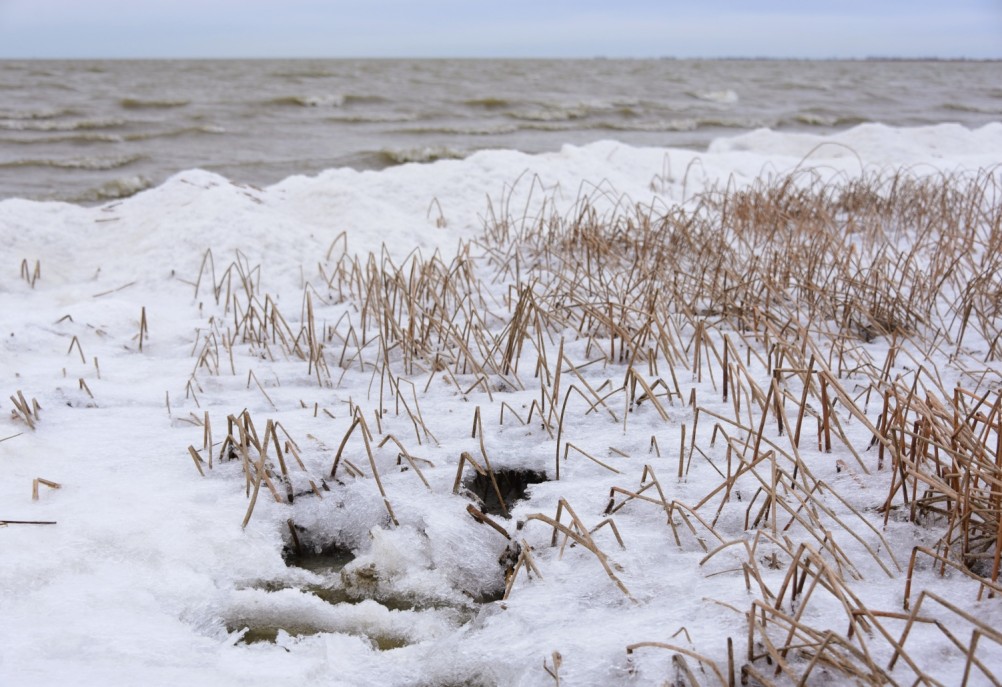 Декабрьский ветреный и морозный день на берегу Азовского моря в селе Займо-Обрыв