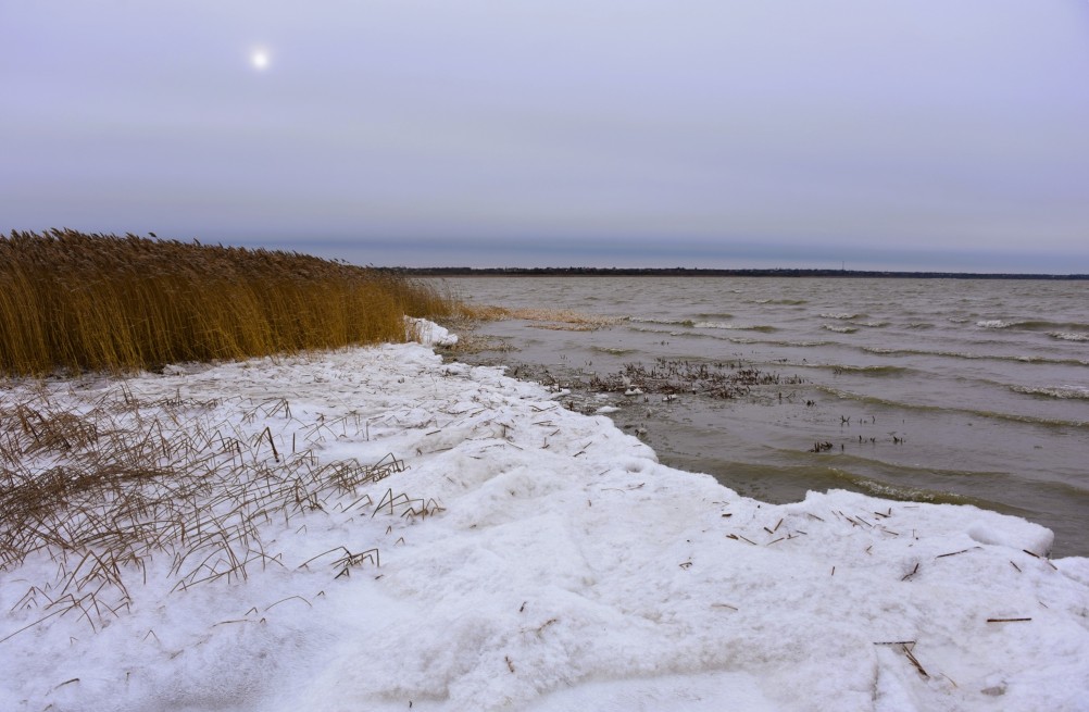 Декабрьский ветреный и морозный день на берегу Азовского моря в селе Займо-Обрыв