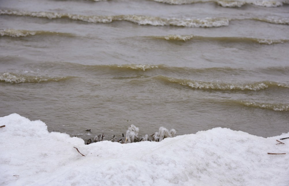 Декабрьский ветреный и морозный день на берегу Азовского моря в селе Займо-Обрыв