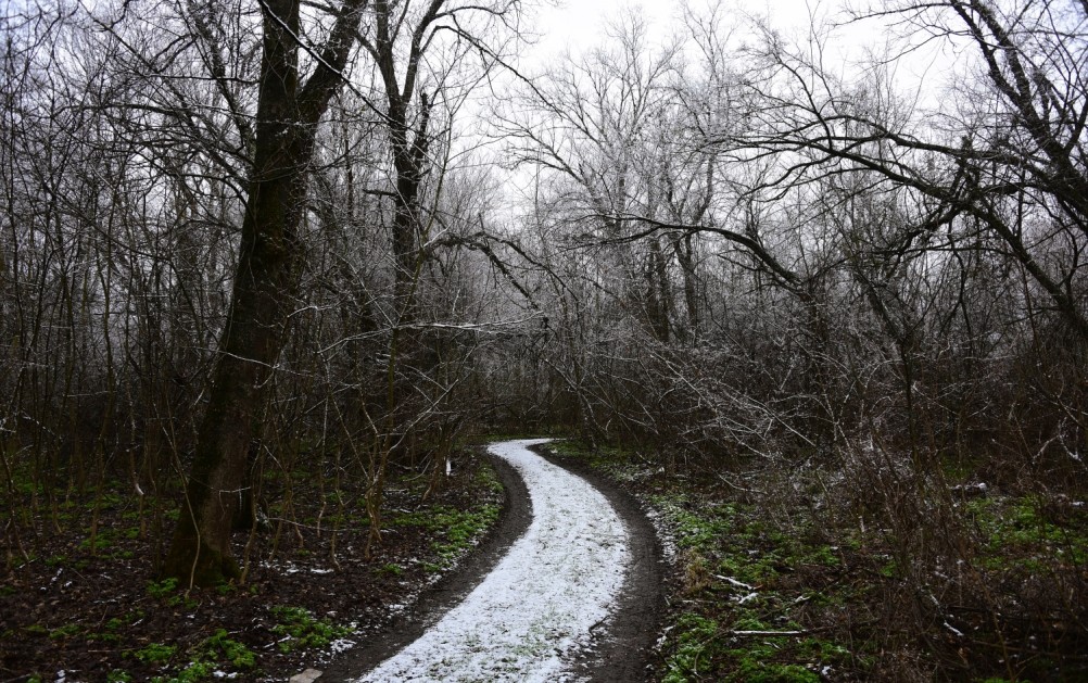 Декабрьский снег на Миусе