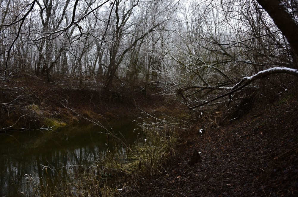 Тихий декабрьский снег у слиянии Миуса и Крынки