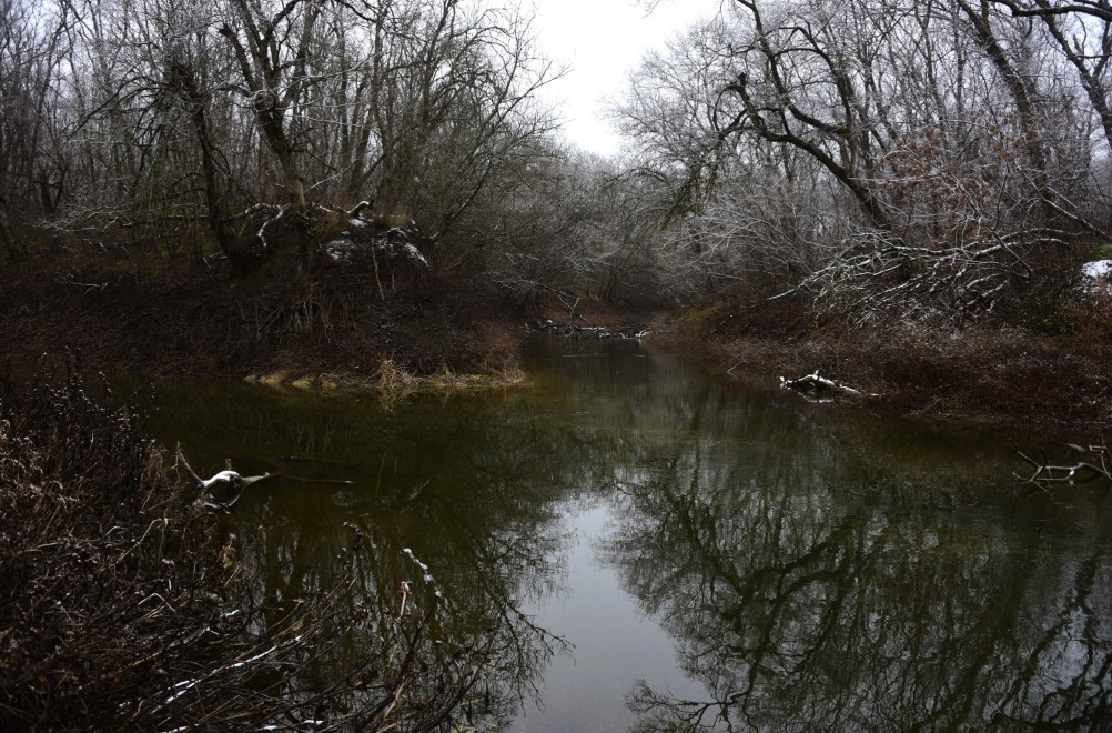 Тихий декабрьский снег у слиянии Миуса и Крынки
