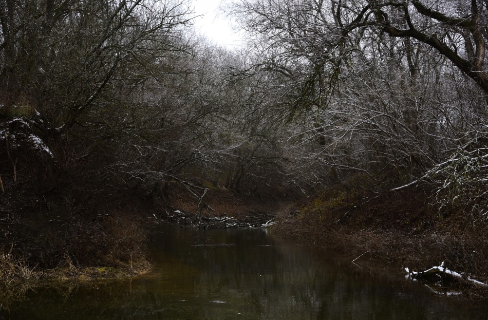 Тихий декабрьский снег у слиянии Миуса и Крынки