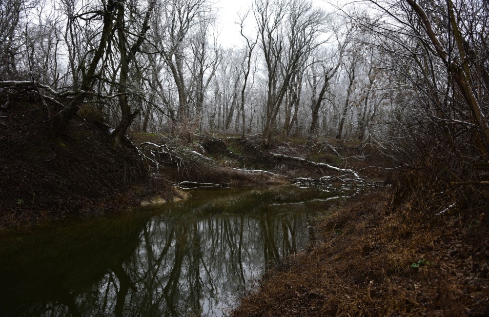 Тихий декабрьский снег у слиянии Миуса и Крынки