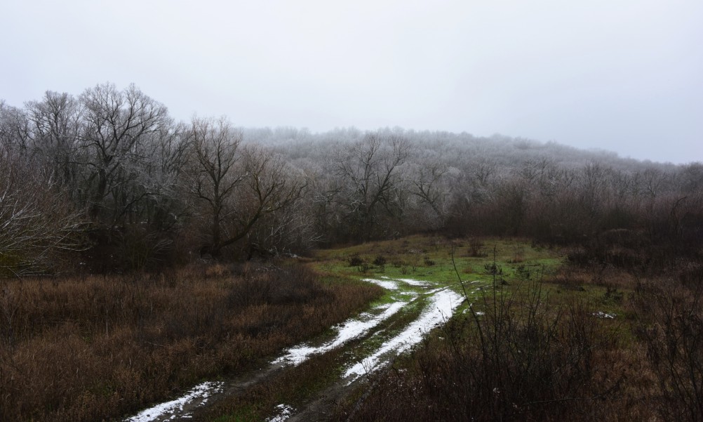 Декабрьский снег на Миусе