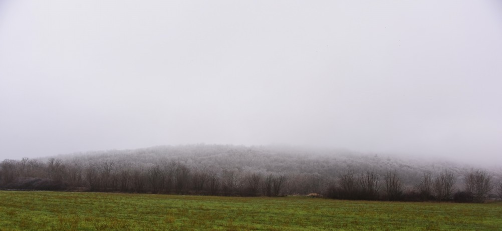 Декабрьский снег на Миусе