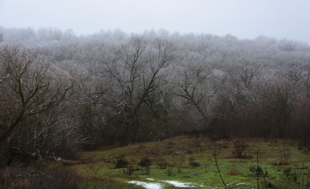 Декабрьский снег на Миусе