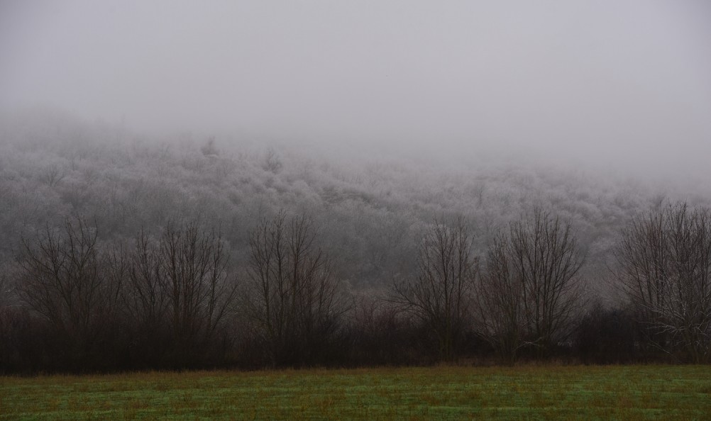 Декабрьский снег на Миусе