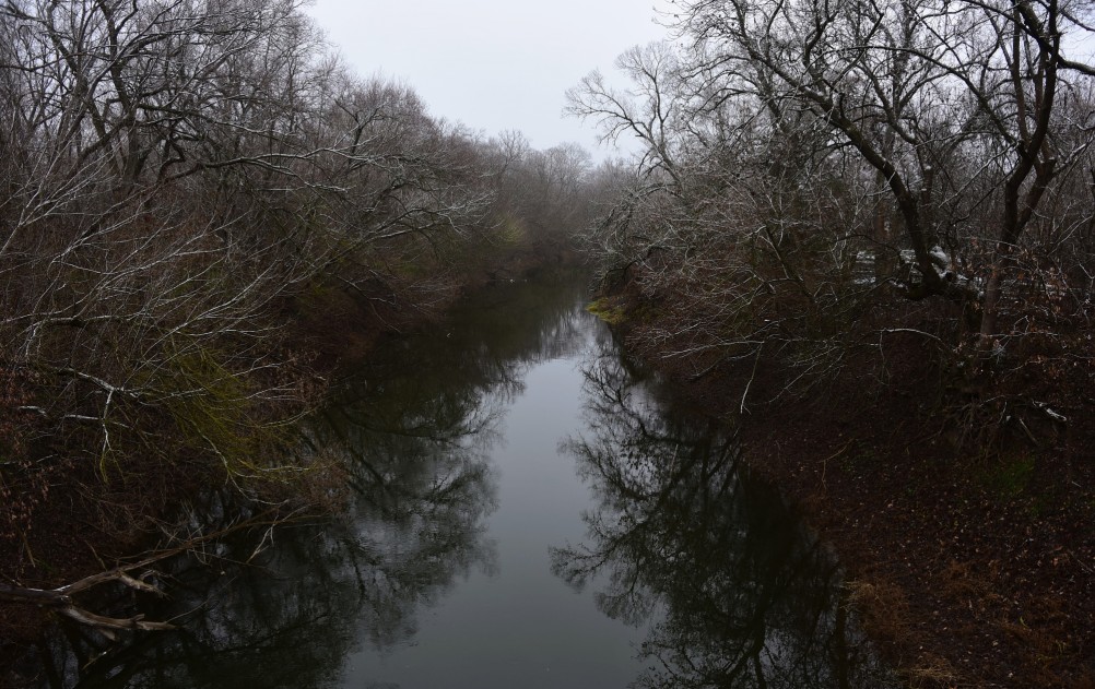Декабрьский снег на Миусе