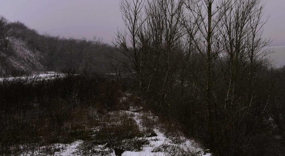 Метель в Таганрогском заливе у Займо-Обрыв, Маргаритово, Семибалках и Чумбур-косе