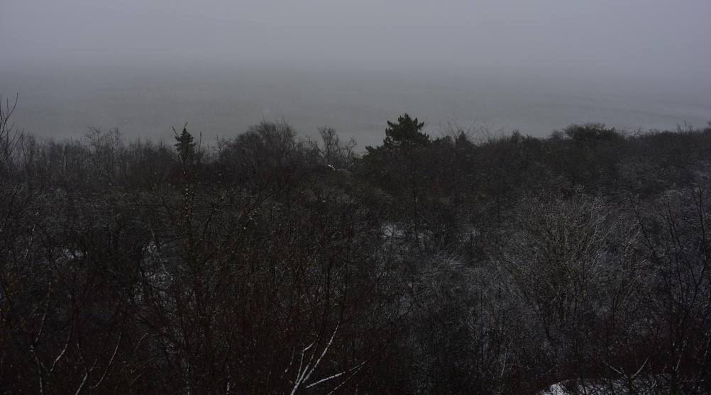 Метель в Таганрогском заливе у Займо-Обрыв, Маргаритово, Семибалках и Чумбур-косе