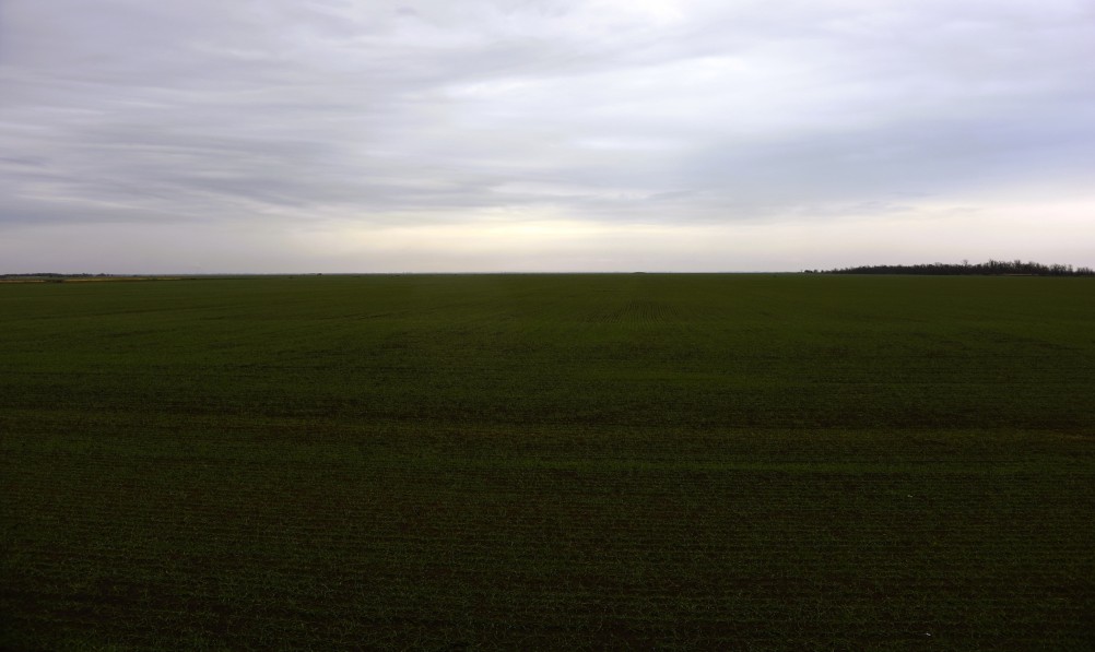 Оттепель в Маныческих степях