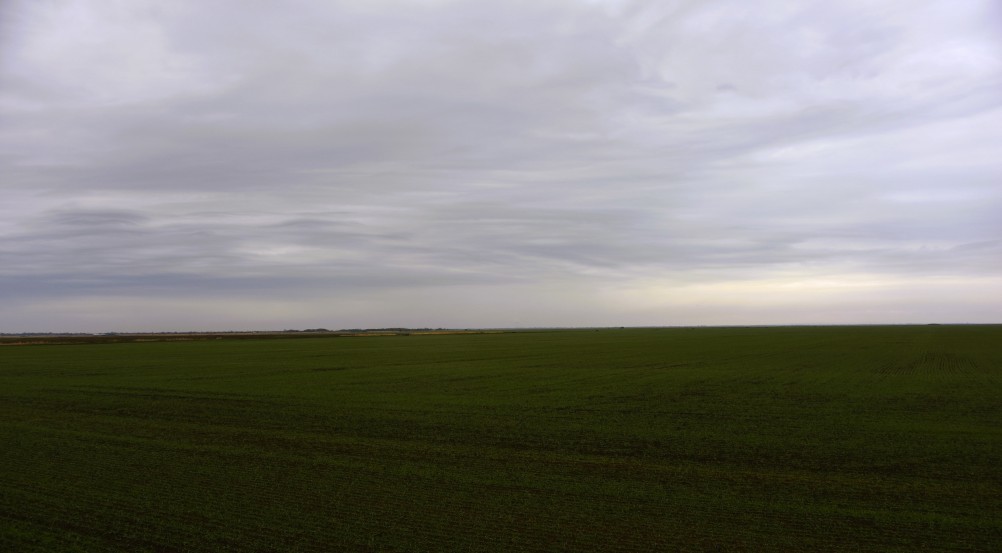 Оттепель в Маныческих степях