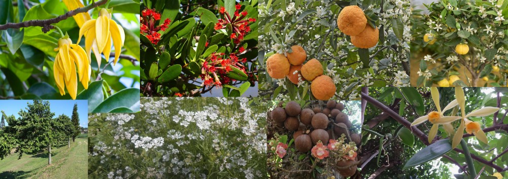 Духи "Красная Москва"