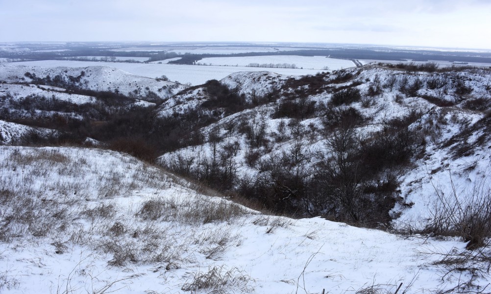 От Пухляковского через Каныгин, Виноградный и Ольховский до Нижнекундрюченской