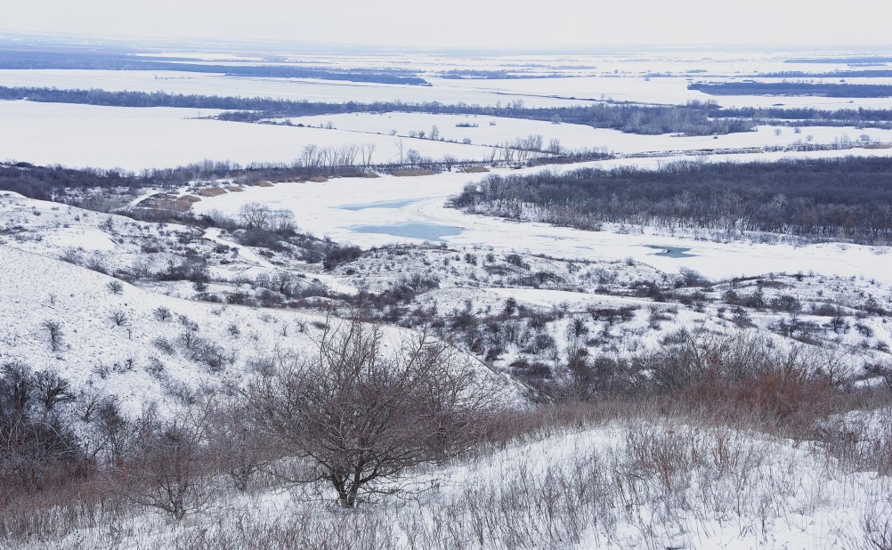 От Пухляковского через Каныгин, Виноградный и Ольховский до Нижнекундрюченской