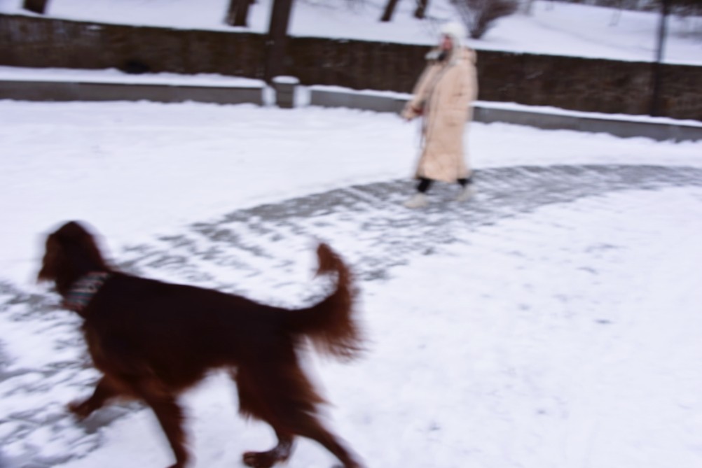 Снежная и морозная зима 2026 в Ростове-на-Дону 