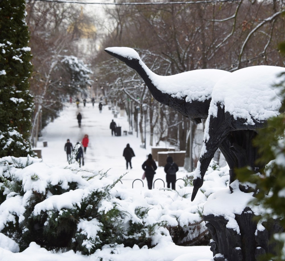 Снежная и морозная зима 2026 в Ростове-на-Дону 