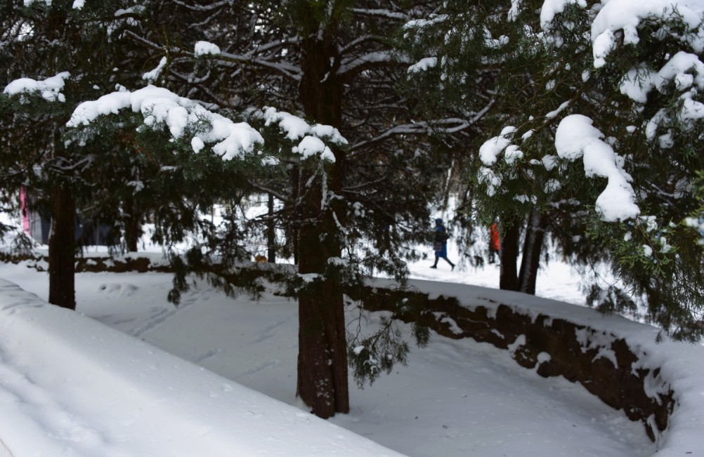 Снежная и морозная зима 2026 в Ростове-на-Дону 