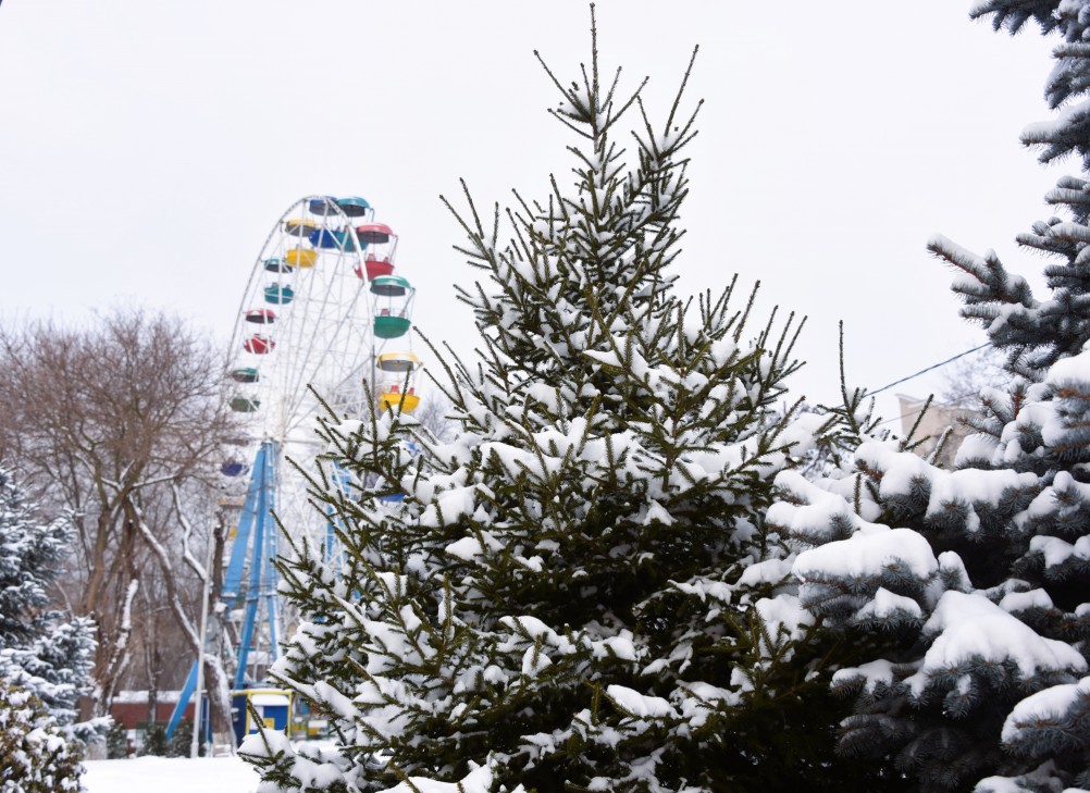 Снежная и морозная зима 2026 в Ростове-на-Дону 