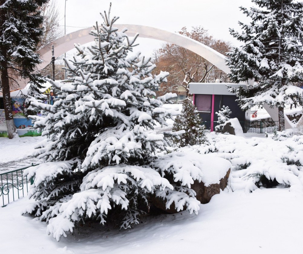 Снежная и морозная зима 2026 в Ростове-на-Дону 