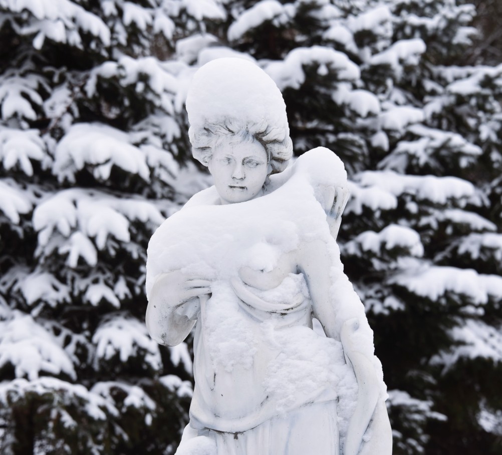 Снежная и морозная зима 2026 в Ростове-на-Дону 