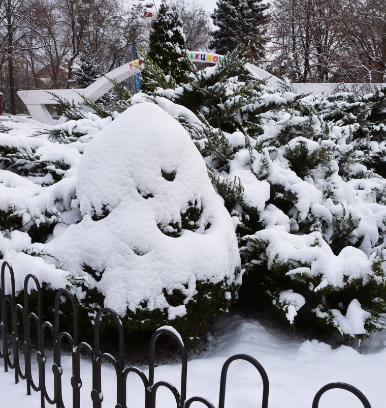 Снежная и морозная зима 2026 в Ростове-на-Дону 