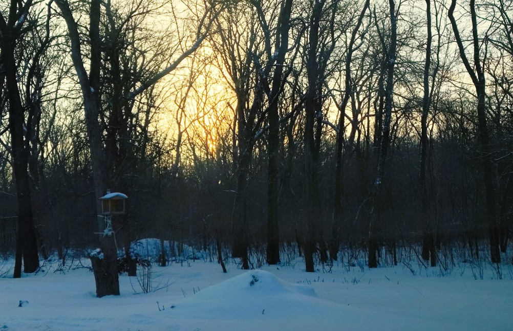 Морозное утро на Каскадной