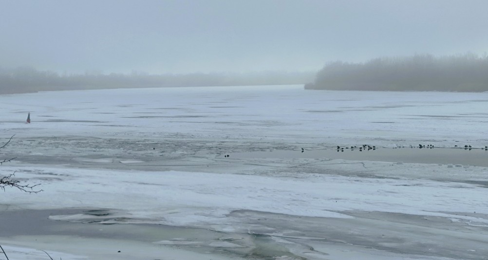 На стрелке Дона и Аксая в конце морозного января