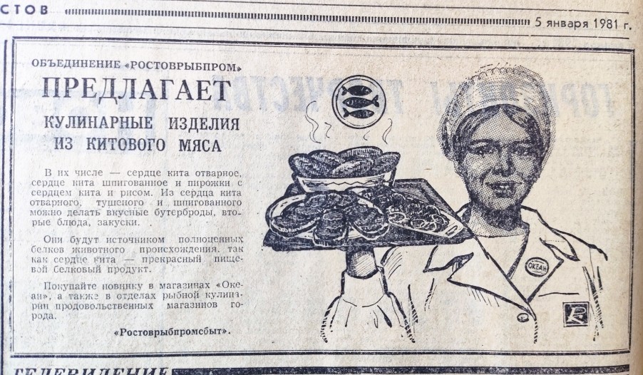 Ростов на Дону в 1981 г