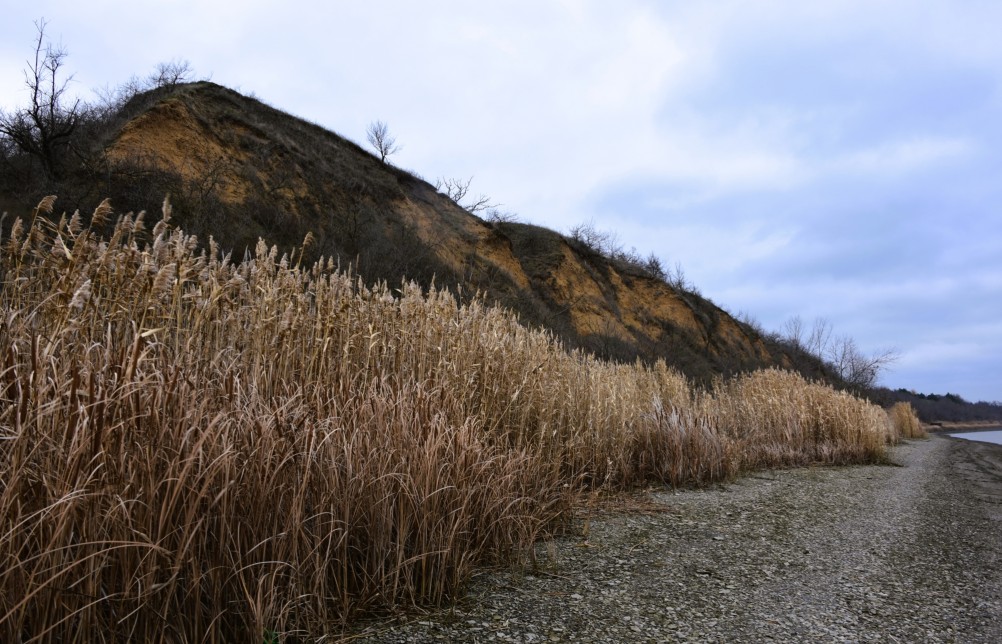 Нижнепалеолитические местонахождения Хрящи и Михайловское, расположенные в устье Северского Донца 
