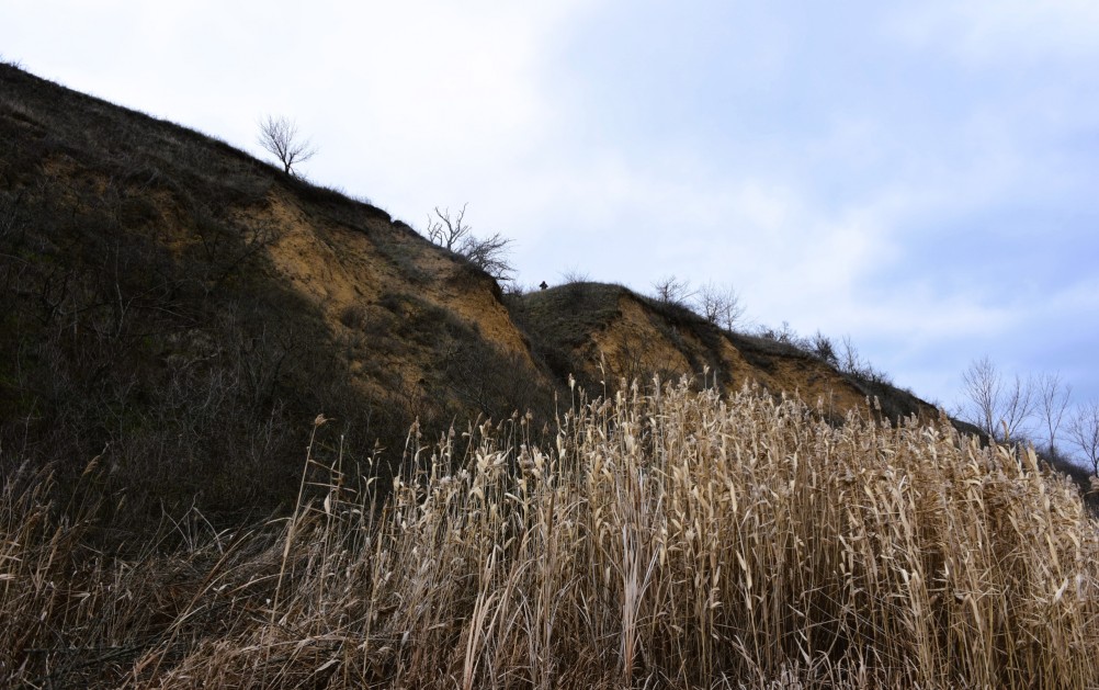 Нижнепалеолитические местонахождения Хрящи и Михайловское, расположенные в устье Северского Донца 