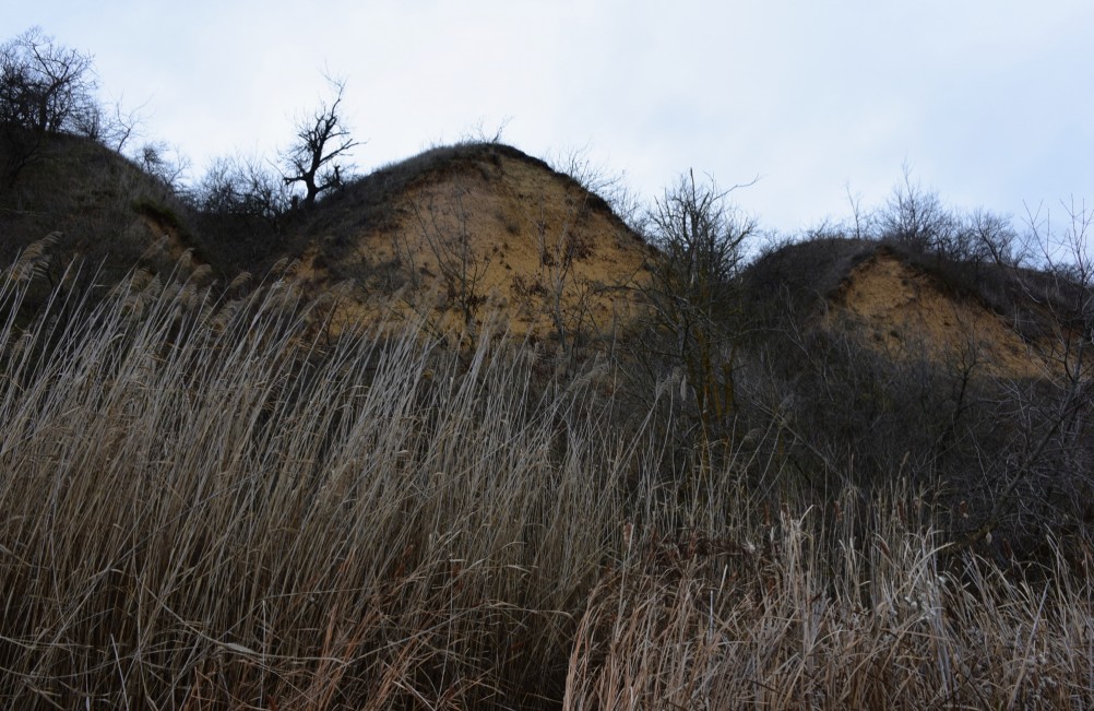 Нижнепалеолитические местонахождения Хрящи и Михайловское, расположенные в устье Северского Донца 