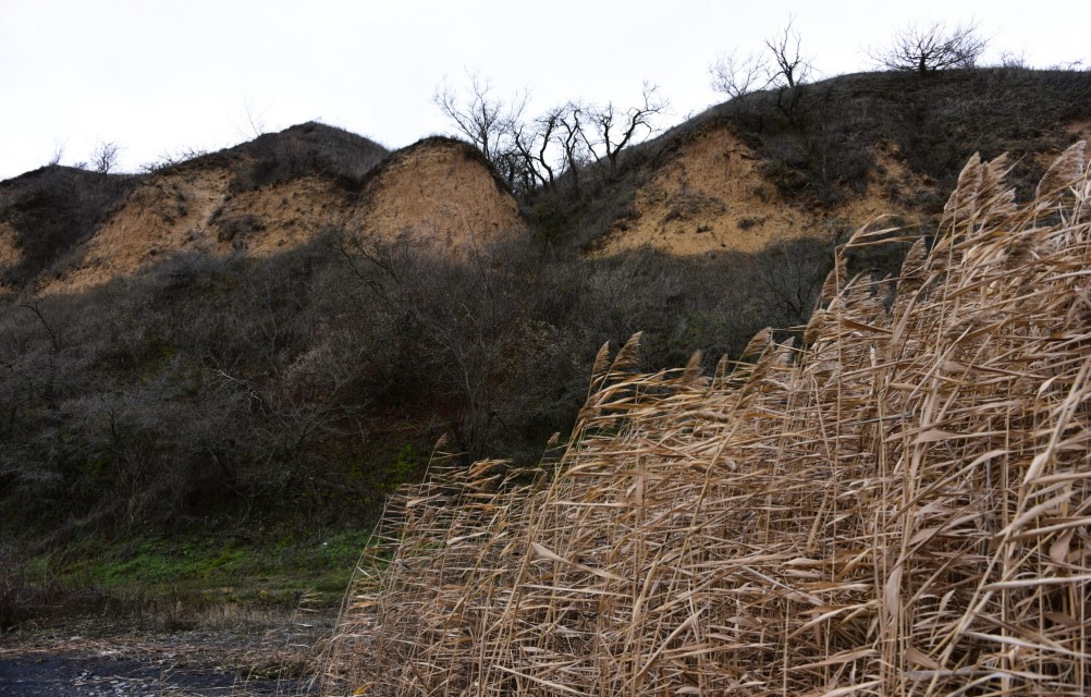 Нижнепалеолитические местонахождения Хрящи и Михайловское, расположенные в устье Северского Донца 