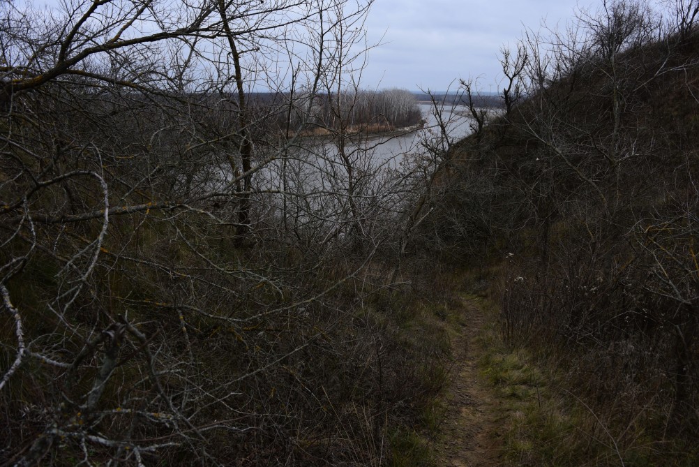 Нижнепалеолитические местонахождения Хрящи и Михайловское, расположенные в устье Северского Донца 