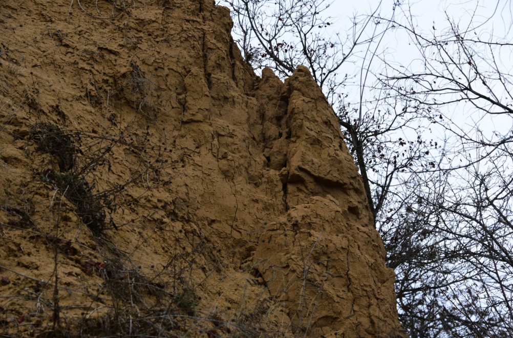 Нижнепалеолитические местонахождения Хрящи и Михайловское, расположенные в устье Северского Донца 