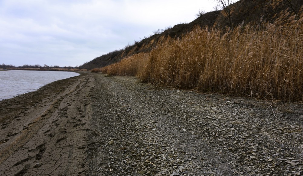 Нижнепалеолитические местонахождения Хрящи и Михайловское, расположенные в устье Северского Донца 